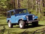 Jeep CJ-7 Renegade 1977 года